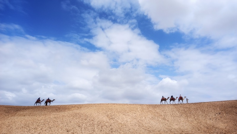 Ancient Routes, New Light