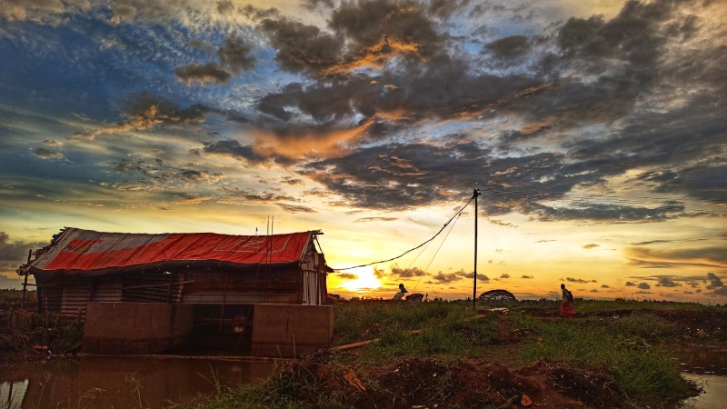 Desert Guardianship A Mother’s Gaze
